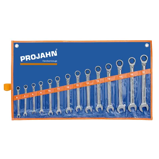 Звездогаечен ключ Projahn 6-стен/12-стен с тресчотка комплект  6-19 мм, 14 бр.