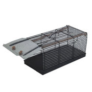 Капан Dimco Star за мишки  40х60х60 мм - product - 061 DMS 101