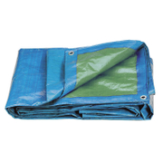 Платнище Fervi полиетиленово  6х10 м, 0284 - product - 082 FRV 630