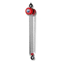 Макара полиспастна Brano с верига  1 т, 3 м, 6 мм, Z100