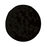 Диск за полиране SIRI от филц за еднодискова машина  430 мм - product - 001 SIR2710