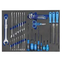 Подложка Fervi с комплект инструменти за шкаф комплект с инструменти 36 бр., 565x405x33 мм, TM01/068