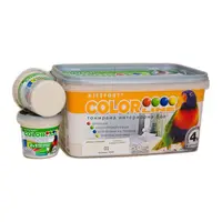 Латексова боя Kittfort цветна  4 кг, крем 01, Colorline