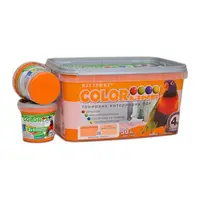 Латексова боя Kittfort цветна  4 кг, мандарина 08, Colorline