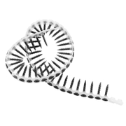 Винт за гипсокартон Knauf с тромпетна глава PH самонарезен ситна резба на лента  3.5x25 мм, 1000 бр./опак., TN - product - 013 KNF 490