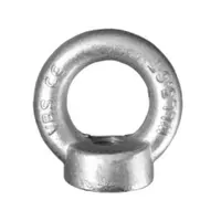 Ринг гайка QD Rigging China поцинкована  M14, 2 мм, 340 кг, 4.8, DIN 582