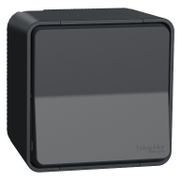 Електрически противовлажен ключ Schneider Electric открит монтаж  10 A, антрацит, сх. 6, Mureva Styl - product - 028 ELM5058