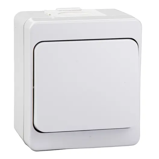 Електрически противовлажен ключ Schneider Electric открит монтаж  10 A, бял, сх. 1, Nemlyer
