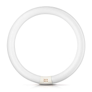 Луминесцентна пура Philips ринг 2GX13 топло бяла  32 W, 303.5 мм, 6500 K, 230 V, Master TL-E Circular Super 80 - product - 028 KVS4419