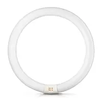 Луминесцентна пура Philips ринг 2GX13 топло бяла  32 W, 303.5 мм, 6500 K, 230 V, Master TL-E Circular Super 80