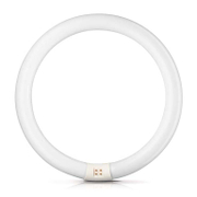 Луминесцентна пура Philips ринг 2GX13 топло бяла  40 W, 405.4 мм, 6500 K, 230 V, Master TL-E Circular Super 80 - product - 028 KVS1469