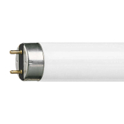 Луминесцентна пура Philips G13/T8 топло бяла  18 W, 604 мм, 3000 K, 230 V, Master TL-D Super 80 - product - 028 KVS2137