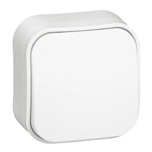 Електрически девиаторен ключ Legrand открит монтаж  10 A, бял, сх. 6, Forix