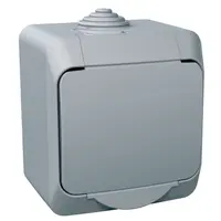 Електрически противовлажен контакт Schneider Electric единичен открит монтаж с капак  16 A, 44 IP, сив, Cedar Plus
