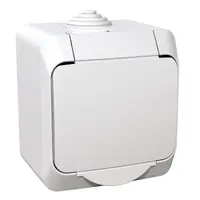 Електрически противовлажен контакт Schneider Electric единичен открит монтаж с капак  16 A, 44 IP, бял, Cedar Plus