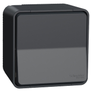 Електрически ключ за стълбищно осветление Schneider Electric открит монтаж  10 A, антрацит RAL 7016, Mureva Styl - product - 028 PRA 239