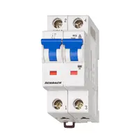 Автоматичен двуполюсен прекъсвач Schrack Technik за DIN шина крива C  32 A, 230 V, 10 kA, 2P, C 32/2