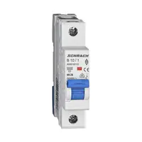 Автоматичен еднополюсен прекъсвач Schrack Technik за DIN шина крива C  32 A, 230 V, 6 kA, 1P, Amparo