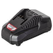 Зарядно устройство Raider за акумулаторни Li-Ion батерии  21.5 V, 230 V, RDP-R20 - product - 029 RID1145