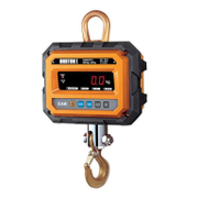 Подкранова електронна везна Cas  500 кг, Caston I - product - 033 ATK 109