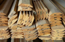 Иглолистен перваз Masiv прав №7  10х30 мм, 2 м - product - 164 AKC 096