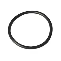 О-пръстен за хидрофорна помпа Gardena  6000/6 E LCD INOX