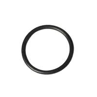 О-пръстен за хидрофорна помпа Gardena  6000/6 E LCD INOX, 6000/6 INOX, 3500/4 E