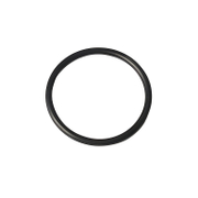 О-пръстен Gardena за хидрофорна помпа 6000/6 E LCD INOX - product - GRD6000254