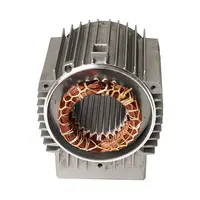 Статор за центробежна помпа City Pumps  ICH 100BM, MS 10M, ICB 100N, IC 100M, IC 100MH