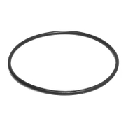 О-пръстен City Pumps за потопяема помпа  98.02х3.53, NBR/RANGER 08/35 - product - INP6090229