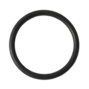 О-пръстен REM Power за хидрофорна помпа  WPEm 3402/20 R Inox - product - RLD6000224