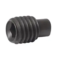 Винт   Rollnut