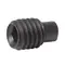 Винт   Rollnut