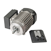 Електродвигател Rubi за машина за рязане на фаянс  DU-200 EVO - product - RUB6000138