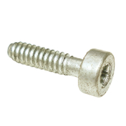 Винт STIHL самонарезен  BG56, BG66, BG86, BR200 - product - STL6002452