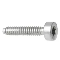 Винт самонарезен  BT130, FS100, FS130, FS240