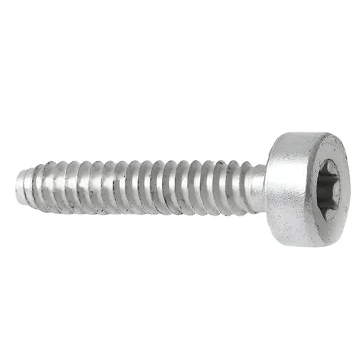 Винт самонарезен  BT130, FS100, FS130, FS240