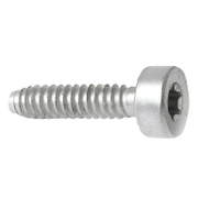 Винт самонарезен  MS171, MS181, MS211, MS231, MS270 - product - STL6002388