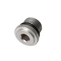 Тапа STIHL за водоструйка  RE 109, RE 119, RE 129 PLUS, RE 143 PLUS, RE 88